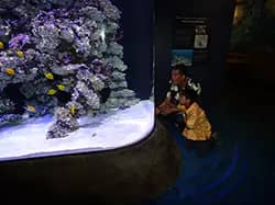 Mokupāpapa Discovery Center