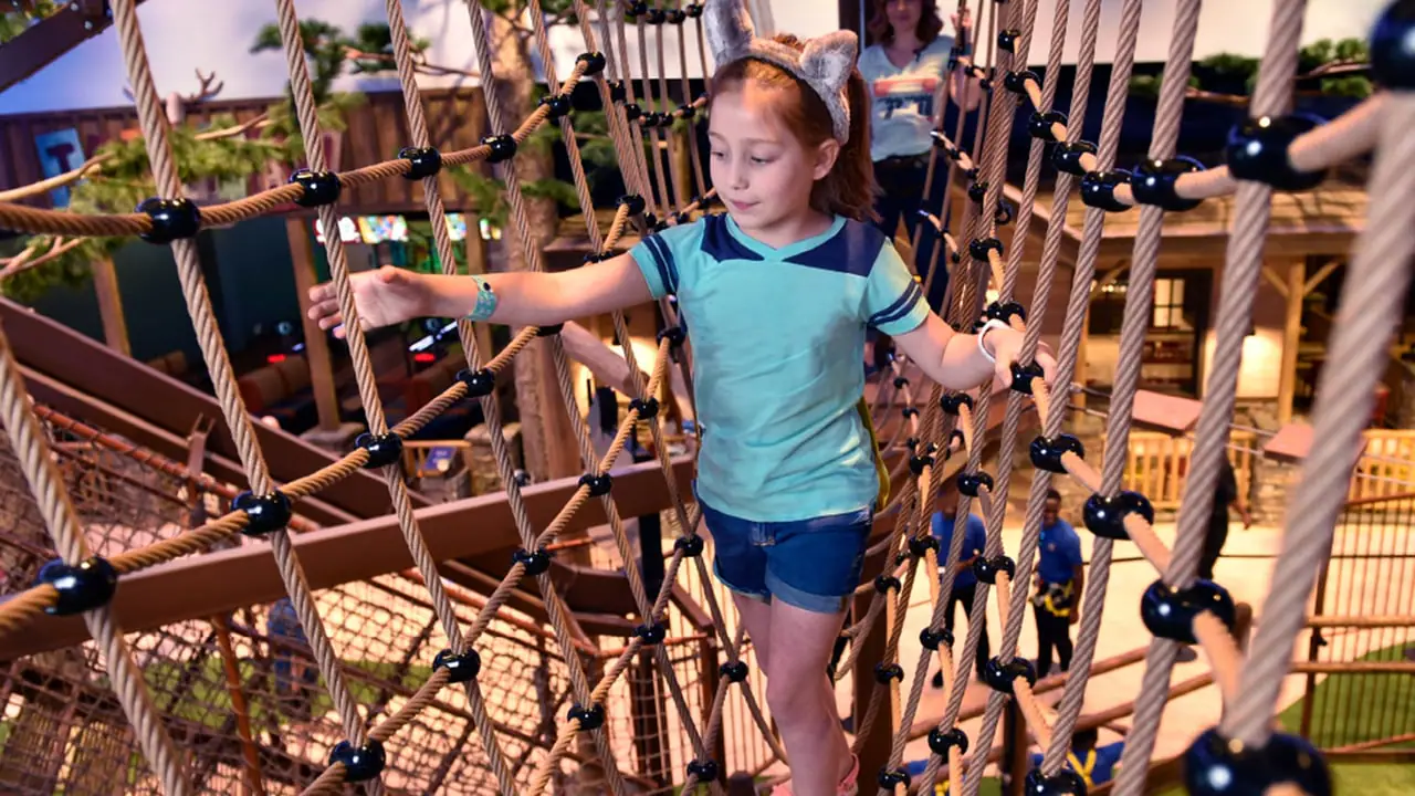 Another view of the elevated net-bridge play path at Howler's Peak Adventure Trail.