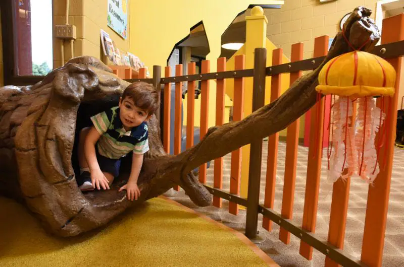 Young child playing in the tree area at Storyville@Rosedale.