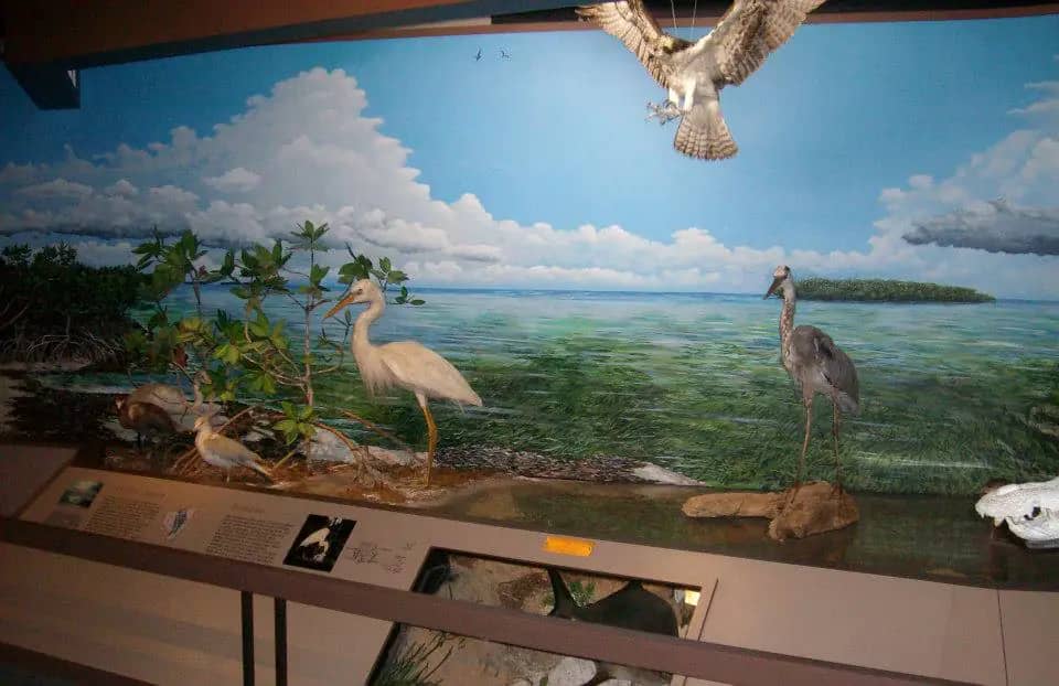 Crane Point Museum & Nature Center