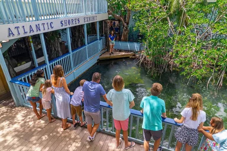 Atlantic Shores exhibit at Key West Aquarium.