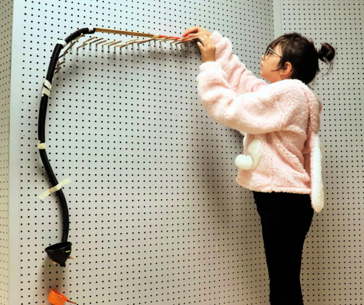 The Curious Museum