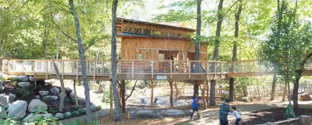 Children using Discovery Museum’s play spaces and nature-focused campus.