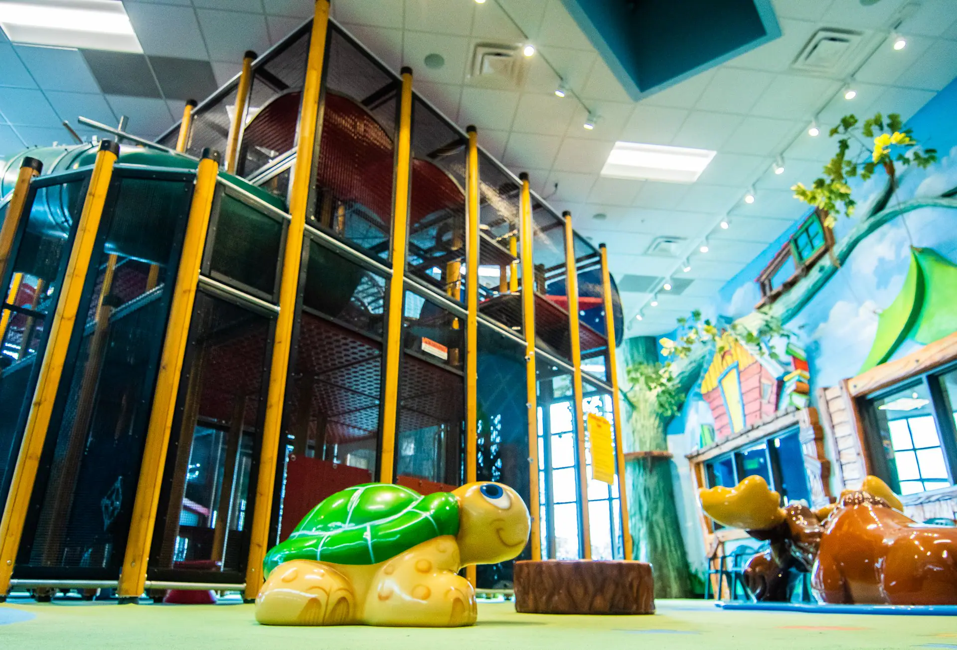 Apex Center Indoor Playground