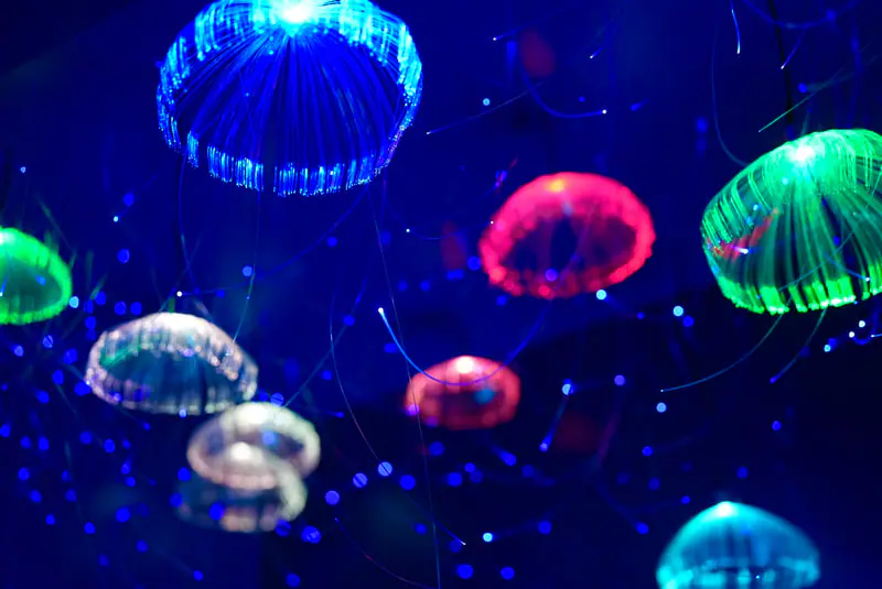 Ocean-themed indoor play structure and café seating at Lagoon Playcafe in Springfield