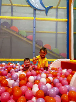Ball-pit play area at Little Sharks Playground.
