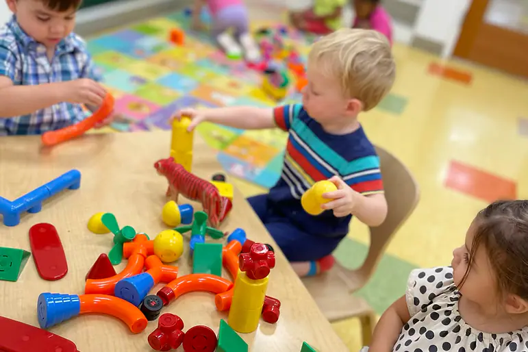 Urban Jungle Play