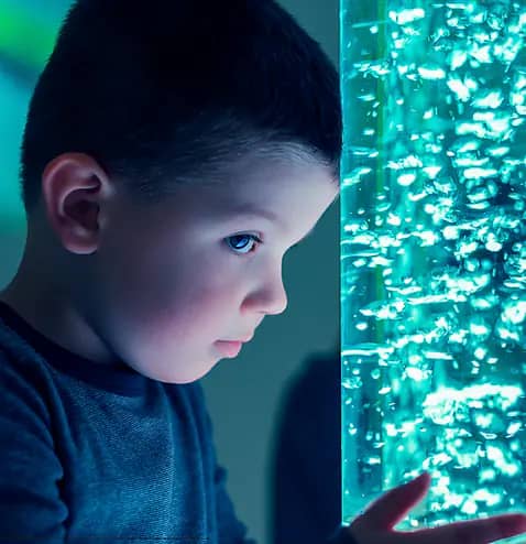 Sensory room image from Joyous Jungle's official site.