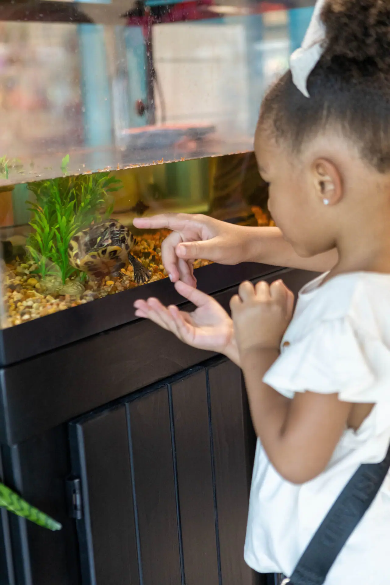 Children's Museum of Acadiana