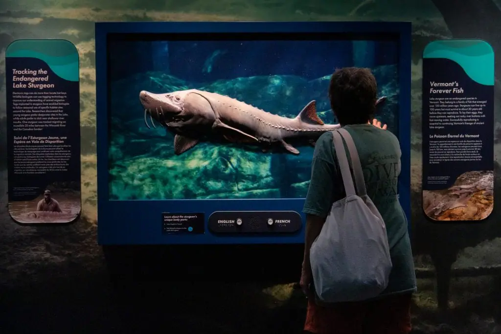 Family-friendly exhibit area at ECHO with hands-on learning elements.