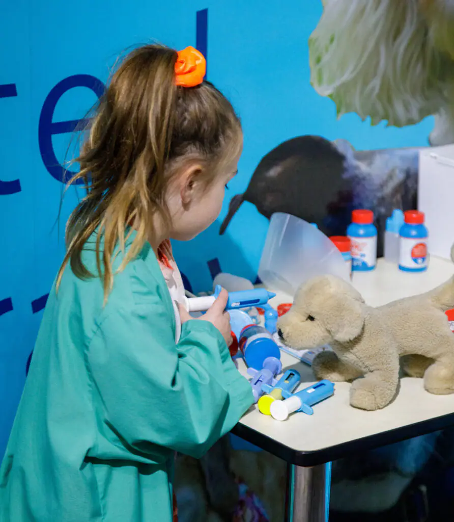Child exploring a pretend-play exhibit at Discovery Science Place.