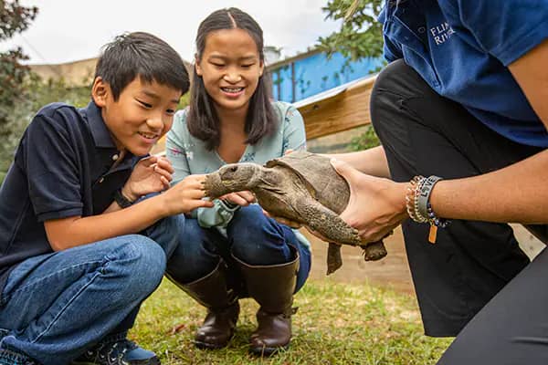 Children meeting a turtle during a Flint RiverQuarium animal encounter