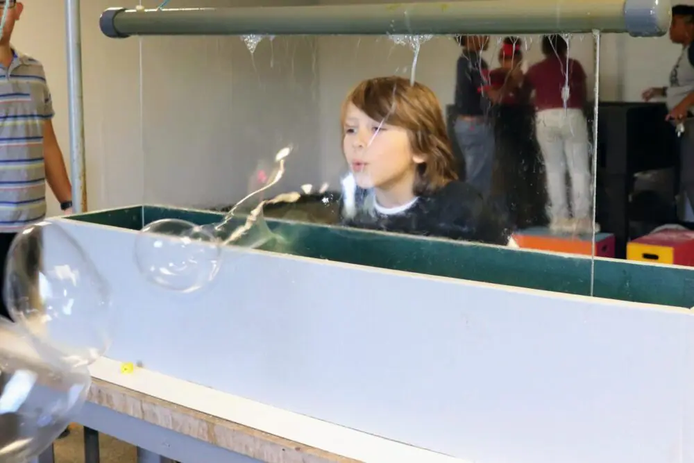 Bubble screen exhibit at The Curious Museum.