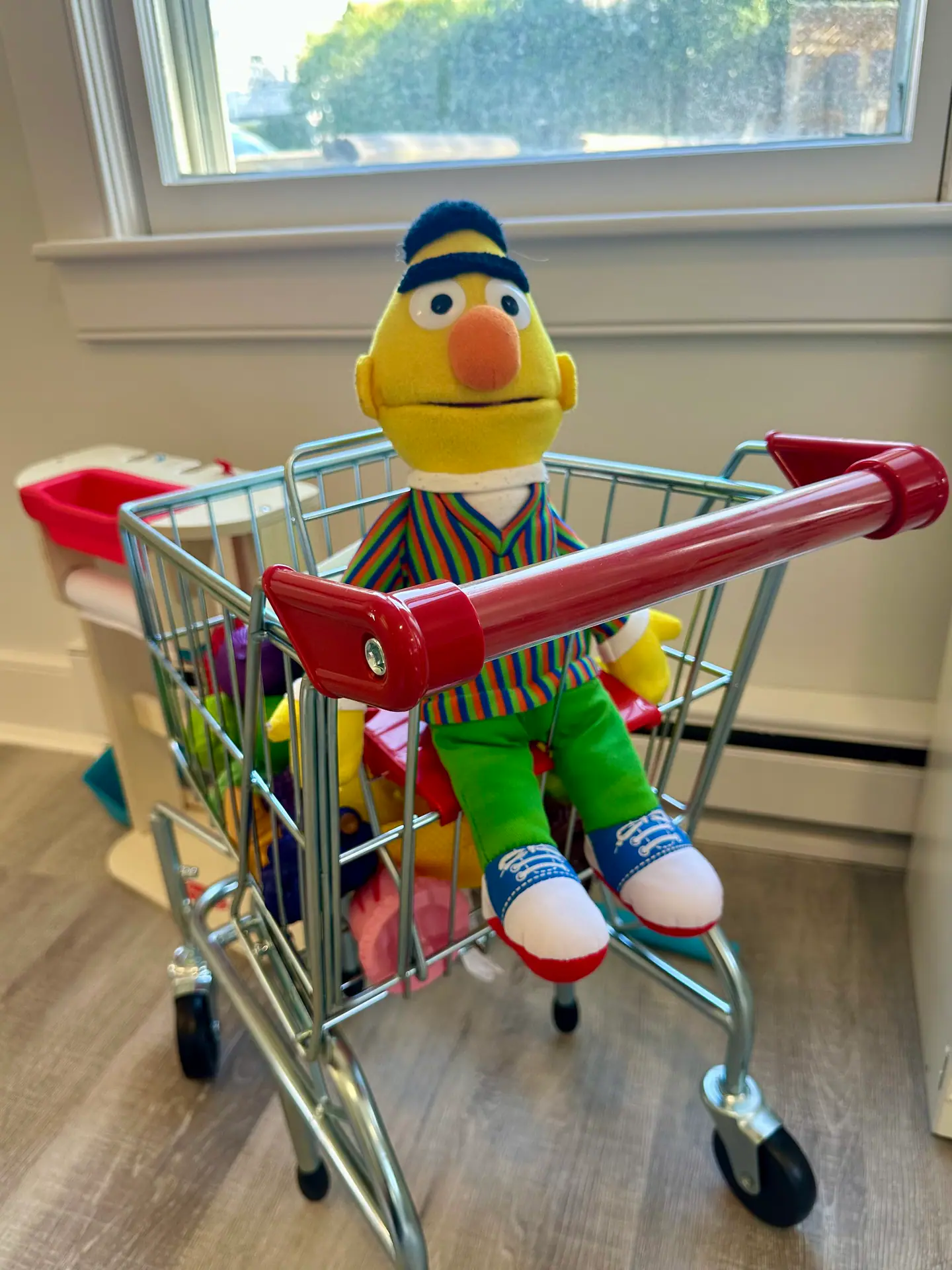 Toy shopping cart and puppet at Nantucket Toy Library.